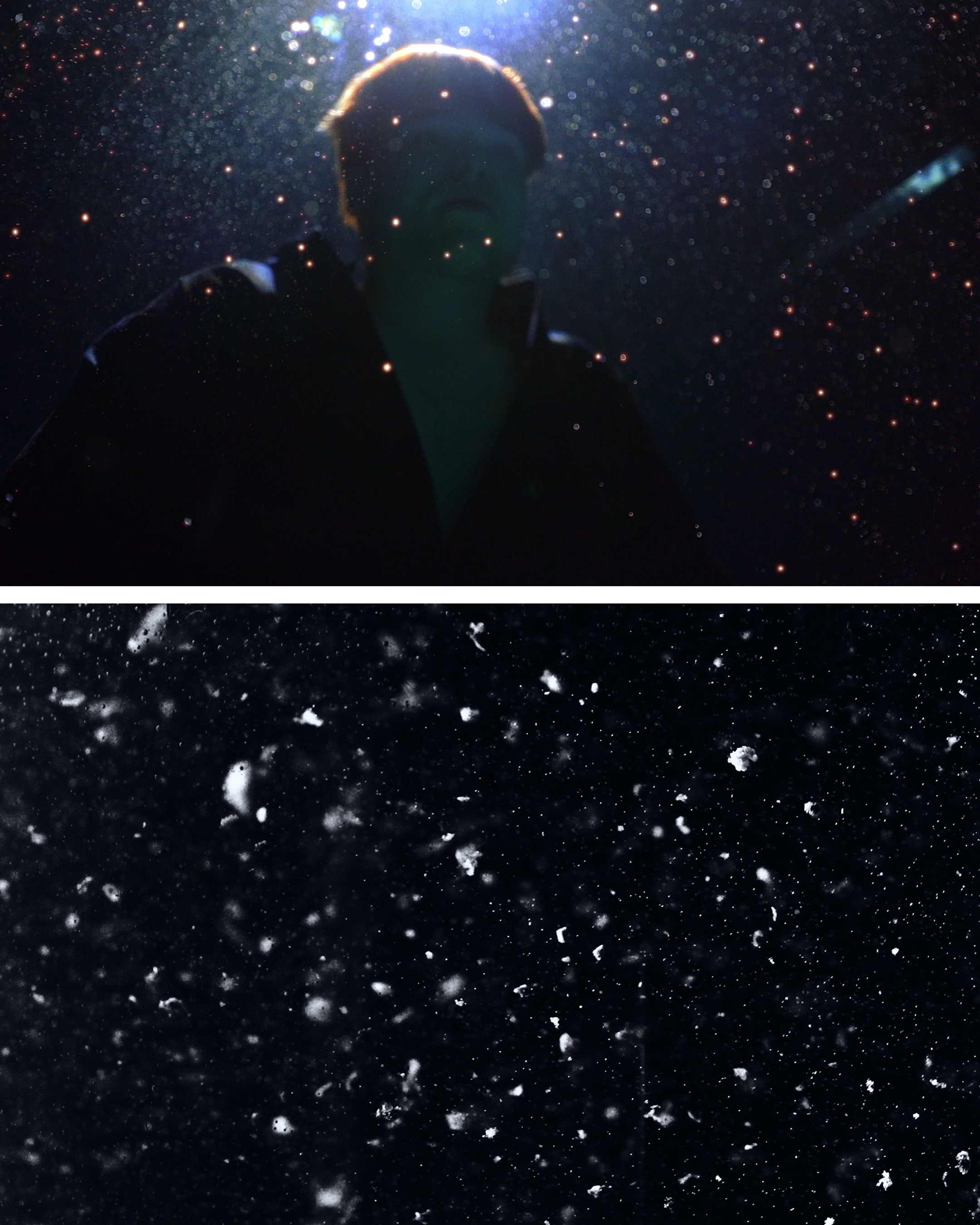 Impuls Werkschau 2025