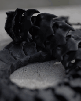 Impuls Werkschau 2025