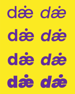 Impuls Werkschau 2025