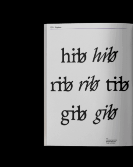 Impuls Werkschau 2025