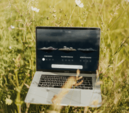 Impuls Werkschau 2025