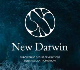 Impuls Werkschau 2025