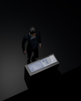 Impuls Werkschau 2025