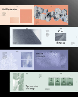 Impuls Werkschau 2025