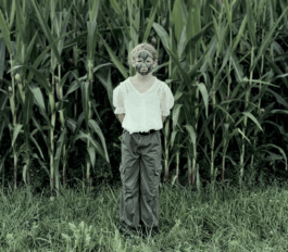 Impuls Werkschau 2025