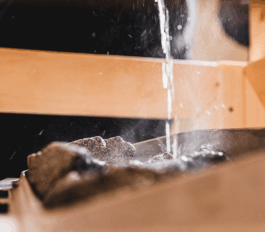 Impuls Werkschau 2025