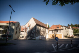 Impuls Werkschau 2025